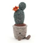 Kuschel Feigenkaktus 'Silly Prickly Pear Cactus'