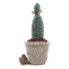 Kuschel Feigenkaktus 'Silly Prickly Pear Cactus'