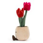 Kuschel Tulpen 'Amuseable Tulip Pot'