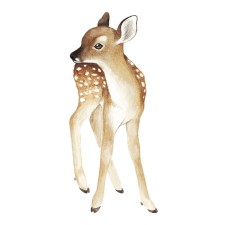 Wandsticker XL 'Oh Deer' Reh von Lilipinso