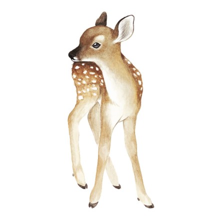 Wandsticker XL 'Oh Deer' Reh