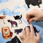 Stickerposter - Discovery 'Tiere der Welt'